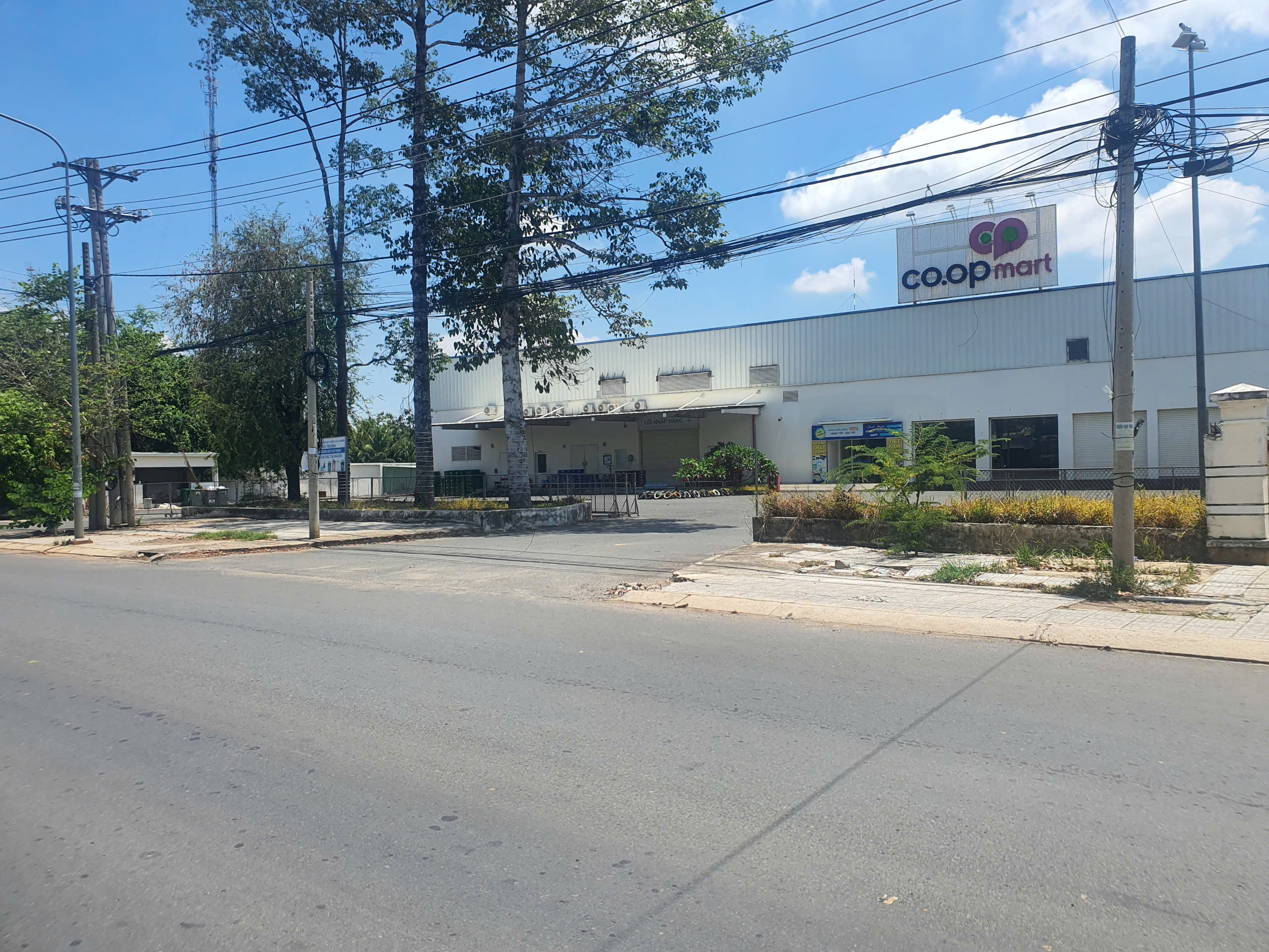 z6597051934033_6377b6ba53e13558ea6bb07523910f64